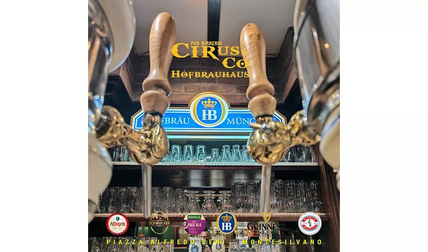 Cirus & Co