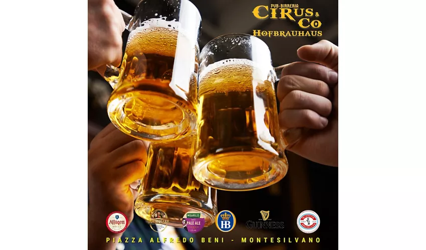 Cirus & Co