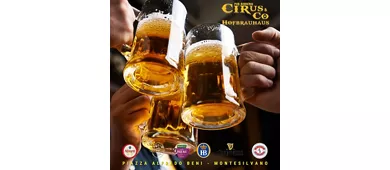 Cirus & Co