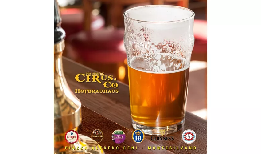Cirus & Co