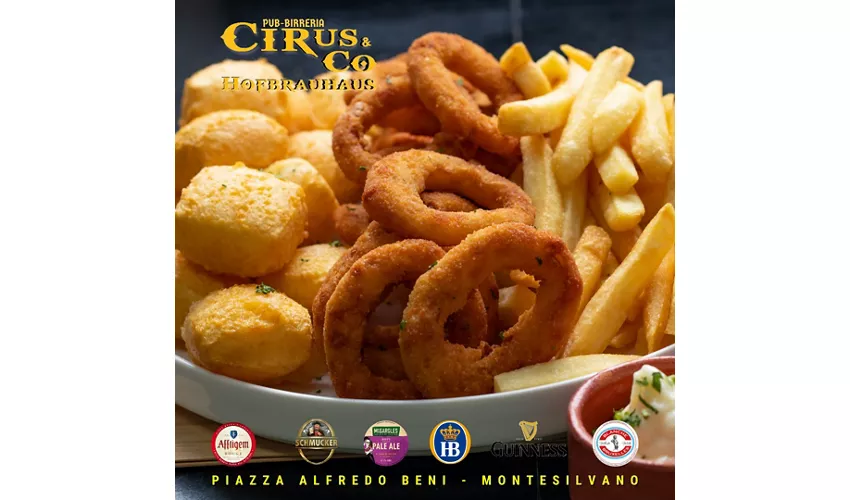 Cirus & Co