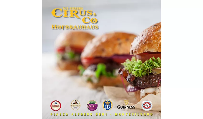 Cirus & Co