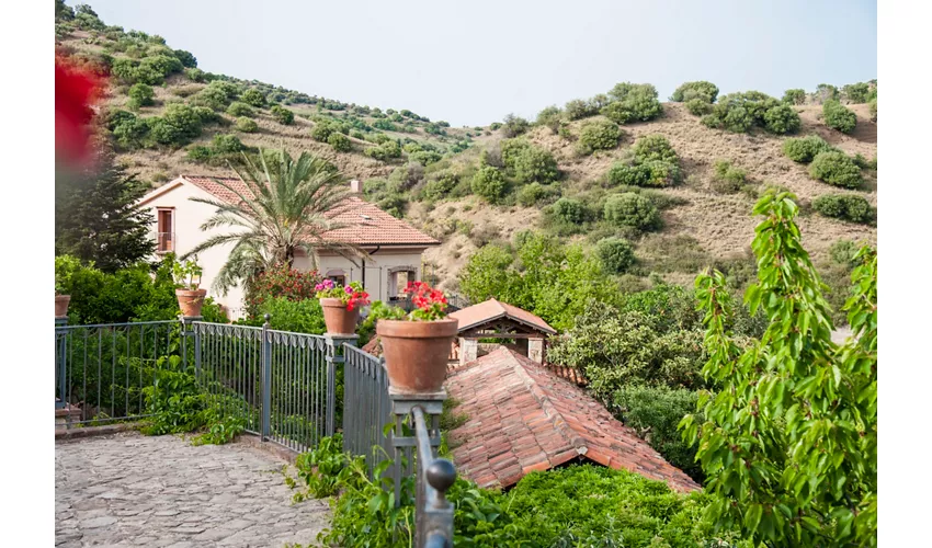 Agriturismo Bergi