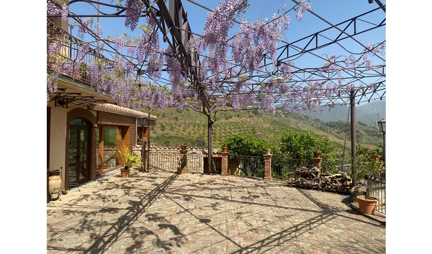 Agriturismo Bergi