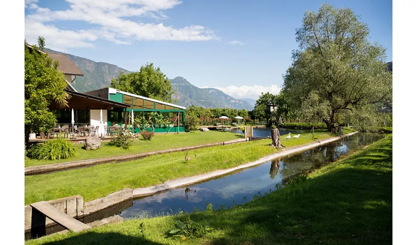 Restaurant Krebsbach, Lana - Italia.it