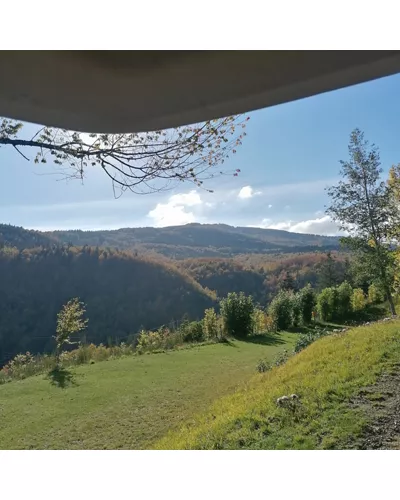 Bucaneve Camping - B&B