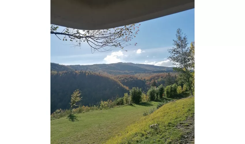 Bucaneve Camping - B&B