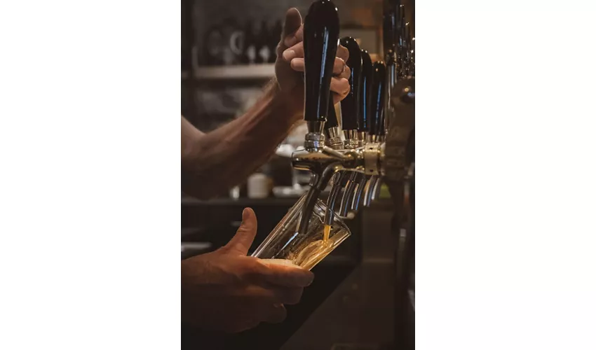 Birreria Logos