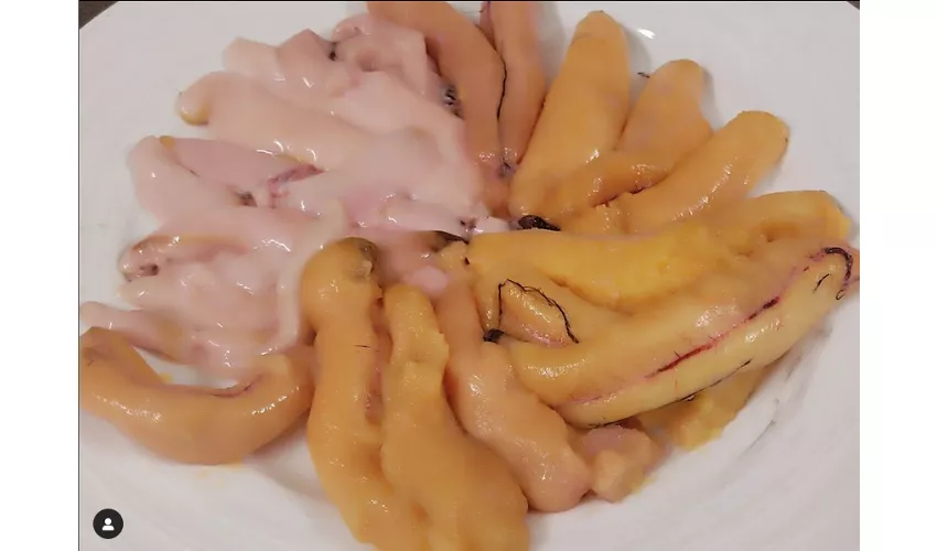 Art&Restaurant il Pescegatto
