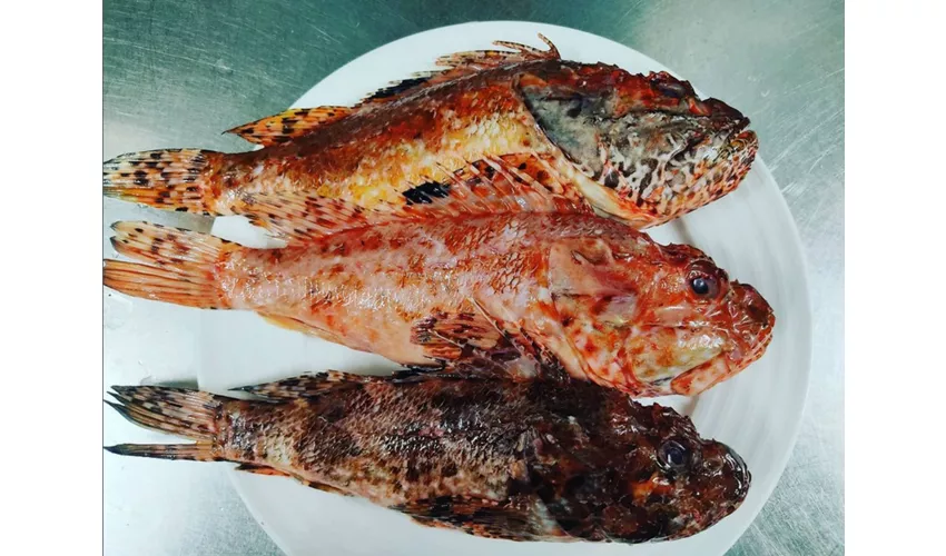 Art&Restaurant il Pescegatto