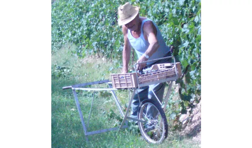 Azienda Agricola Boscaini Carlo