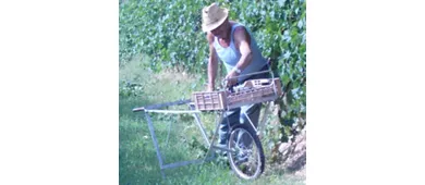 Azienda Agricola Boscaini Carlo
