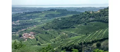 Azienda Agricola Boscaini Carlo