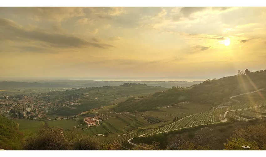 Azienda Agricola Boscaini Carlo