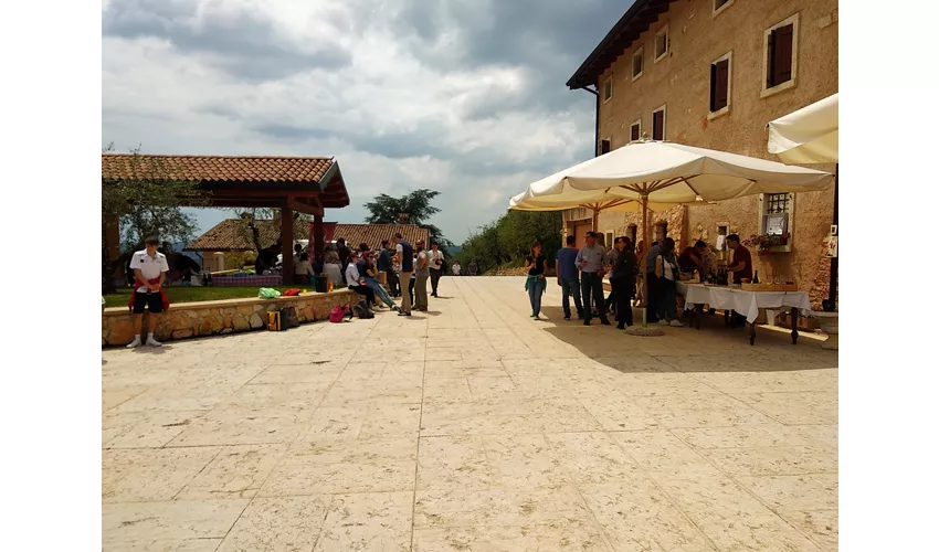 Azienda Agricola Boscaini Carlo