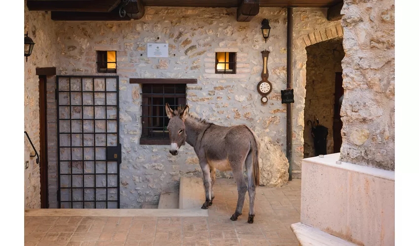 Borgo incantato