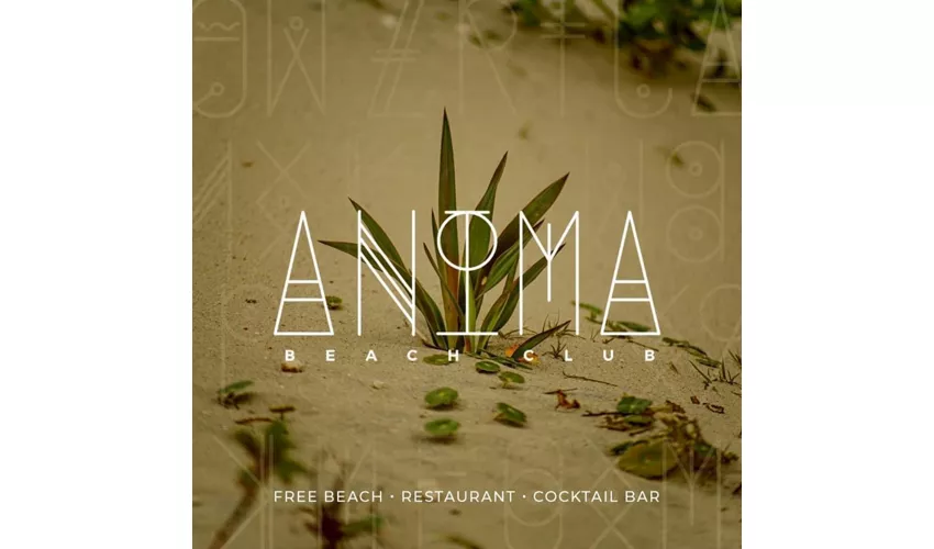 Anima Beach Club 