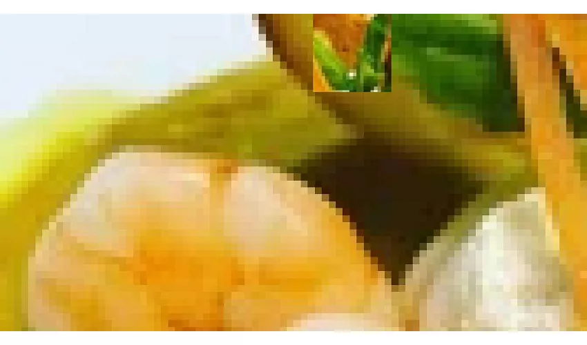 Garden Restaurant Gardanella