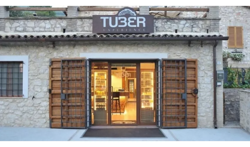 Tuber Experience