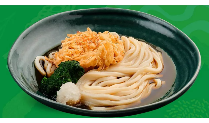 SAGAMI Verona