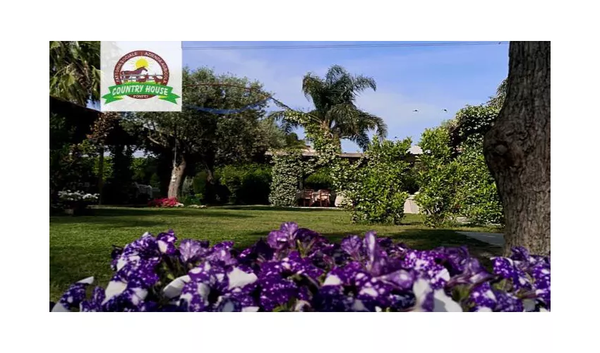Country House di Gargiulo Anella