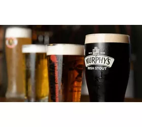 KING PUB VITTORIO VENETO