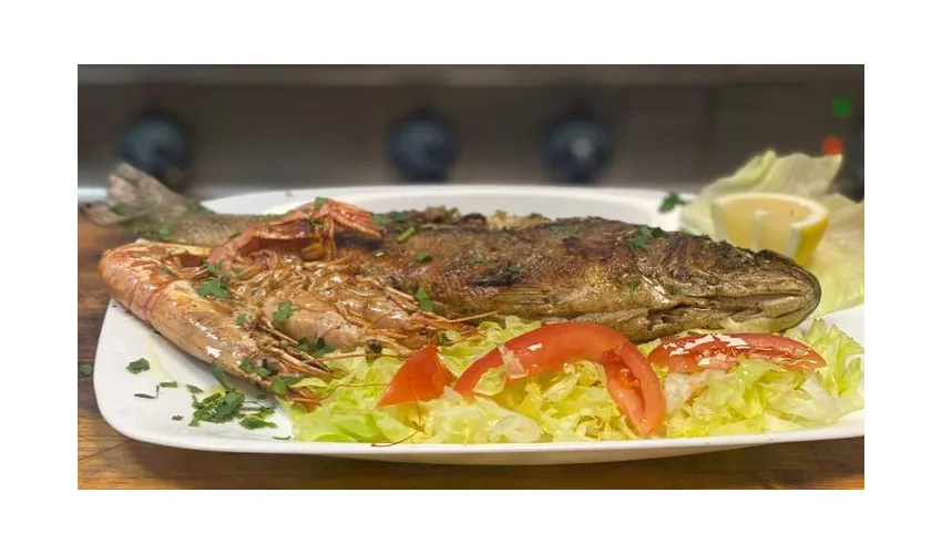 Theo trattoria