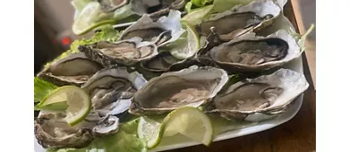 Theo trattoria