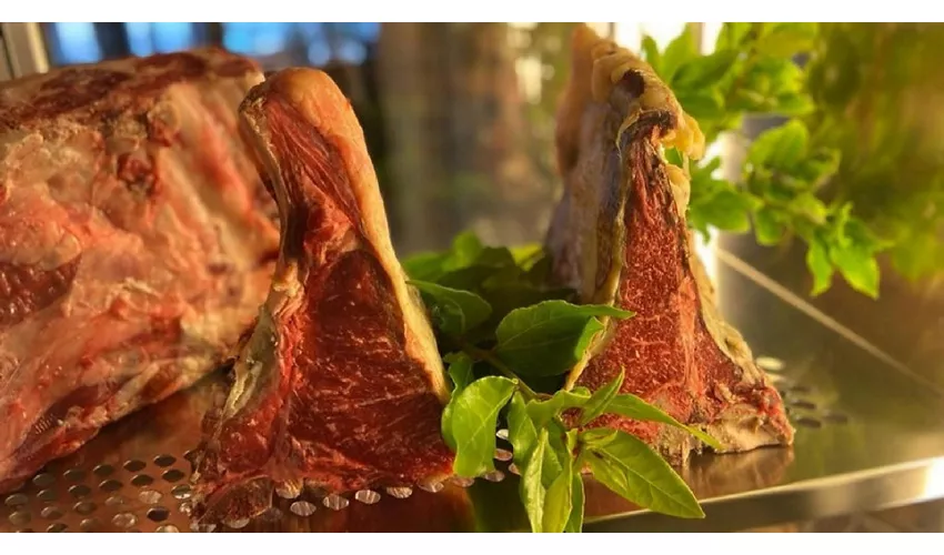 Ristorante al Vecchio Ulivo