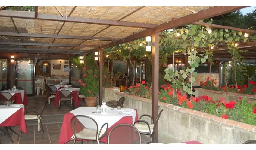 Ristorante al Vecchio Ulivo