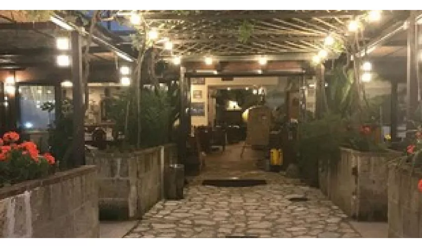 Ristorante al Vecchio Ulivo