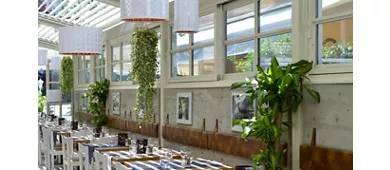 Ristorante " Roxy Bar"