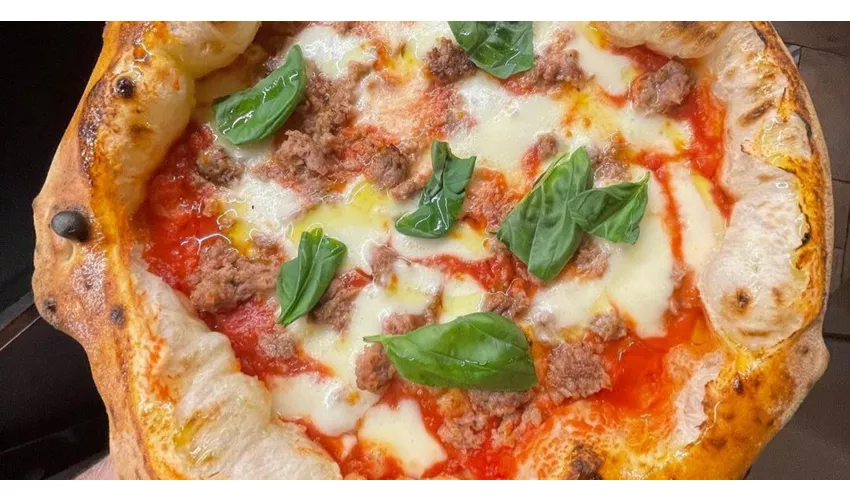 Bonaccorsi
