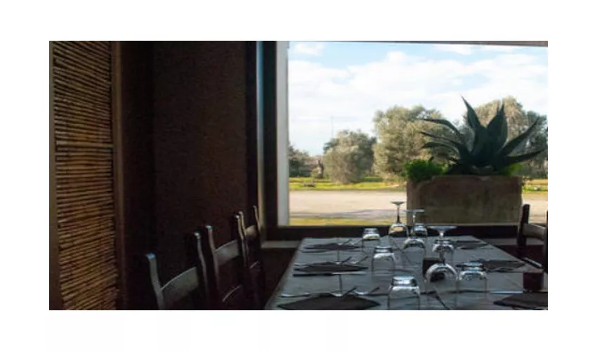 La Lizza Agriturismo