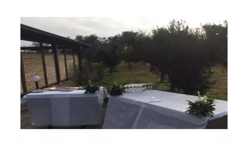 La Lizza Agriturismo