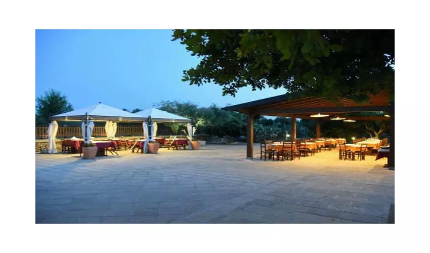 La Lizza Agriturismo