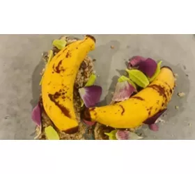 Siné | Pasta Experience