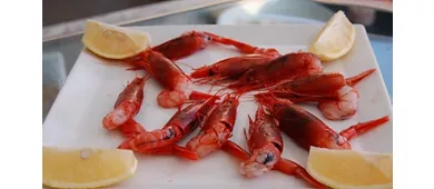 Nudi e Crudi by L'Ostrica Pazza