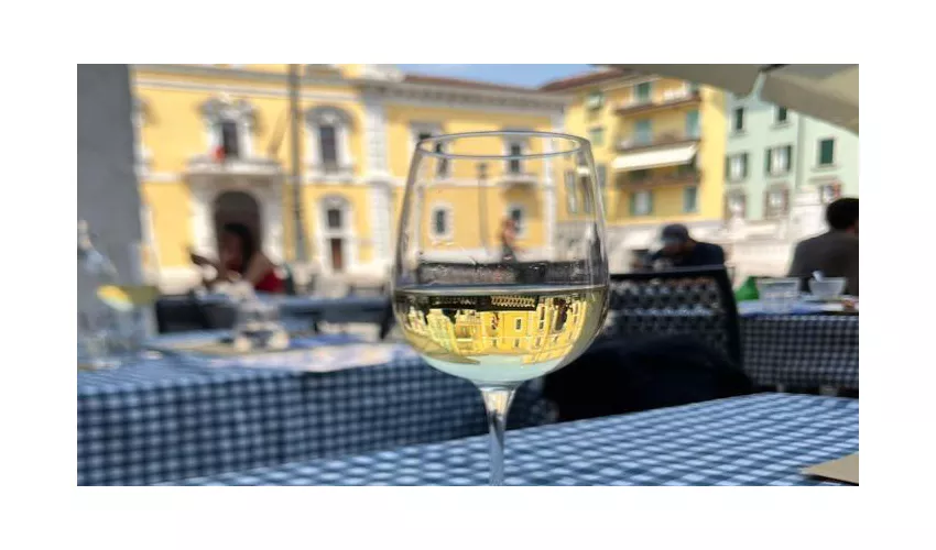 Cecosteria