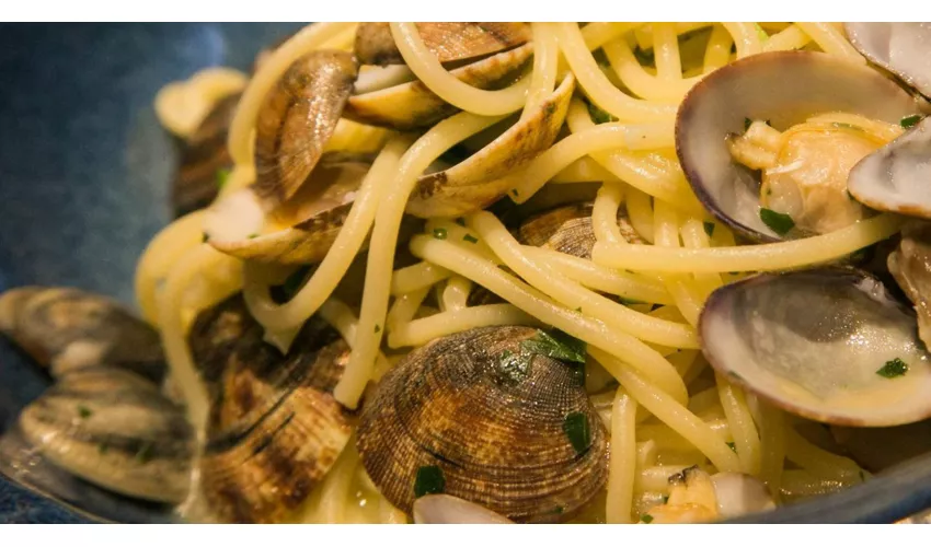 Nautilus Ristorante Pizzeria Lounge Bar
