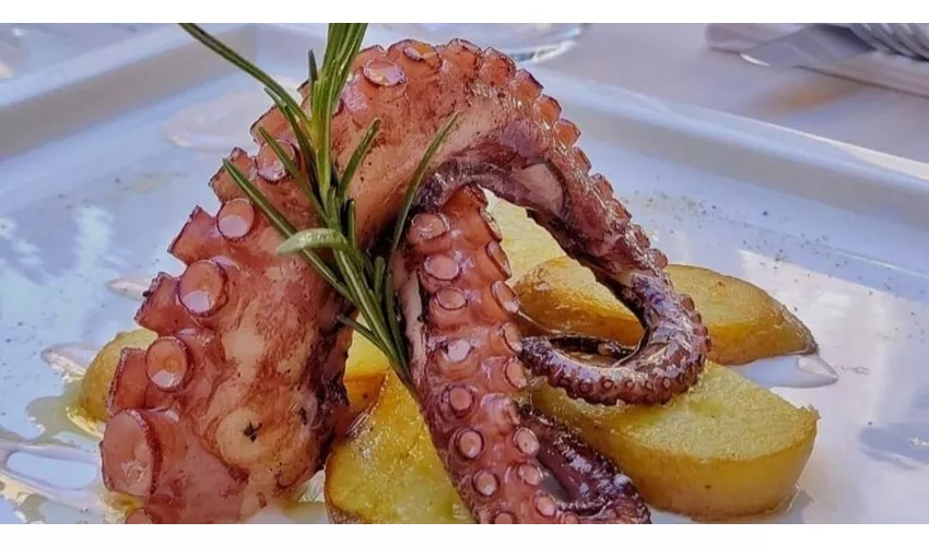 Ristorante Pizzeria Braceria Il Gusto Giusto