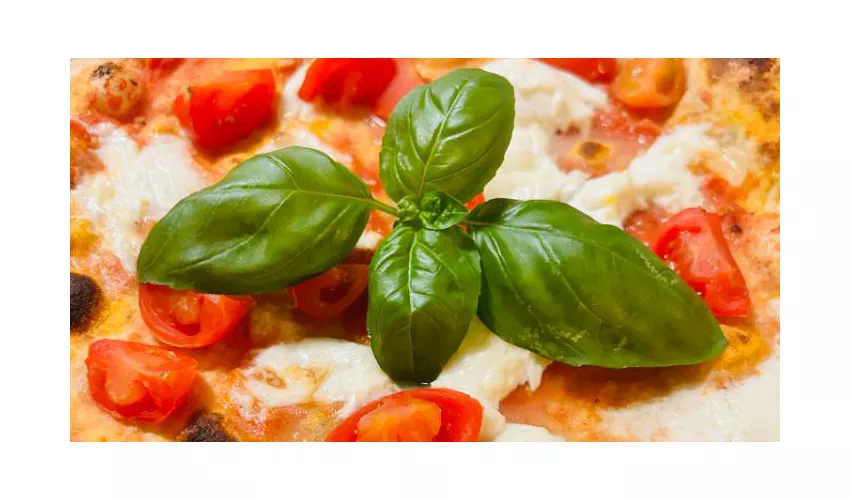 Ristorantino Pizzeria Mika Male