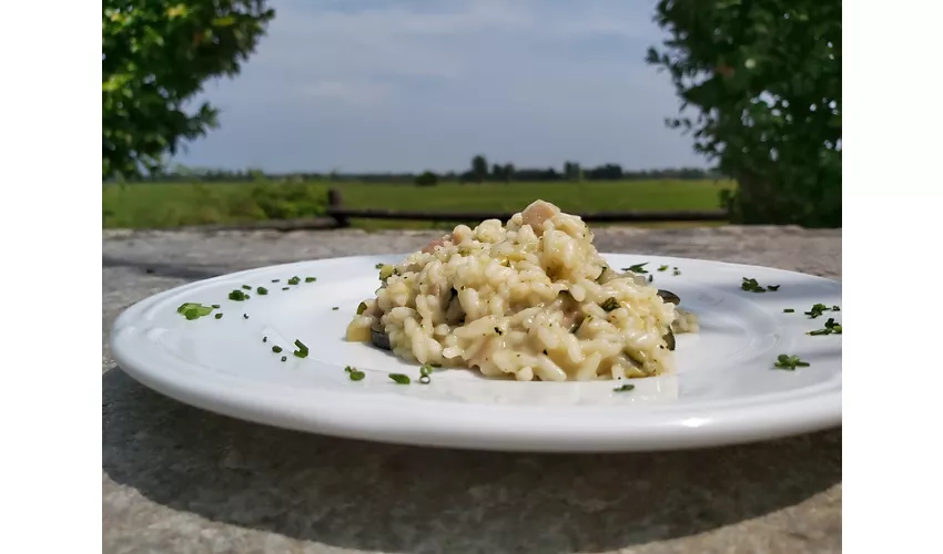 Agriturismo Raimondi Cominesi Amilcare