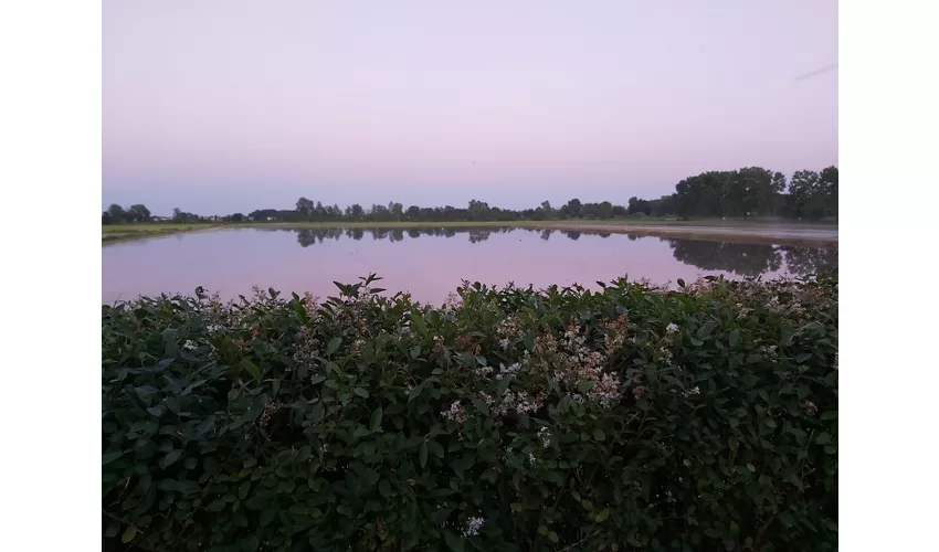 Agriturismo Raimondi Cominesi Amilcare