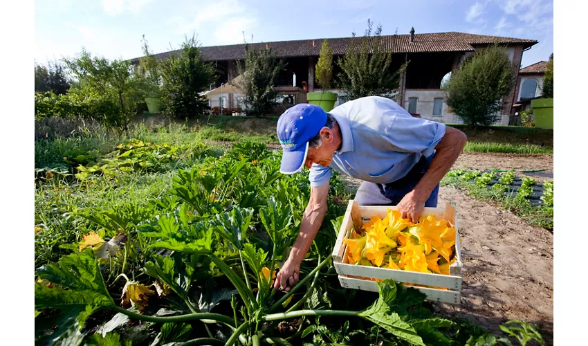 Agriturismo Cascina Caremma