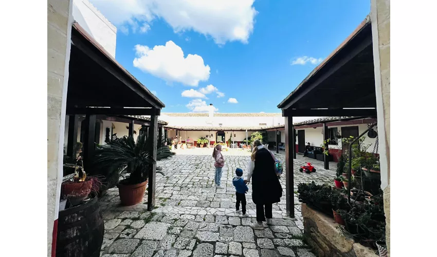Oasi Rupestre