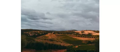 Il Ponte