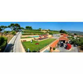 Poggio dei Gorleri S.S. Azienda Agricola