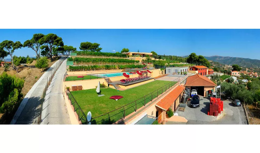 Poggio dei Gorleri S.S. Azienda Agricola