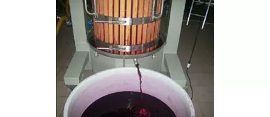 Macchia dei briganti